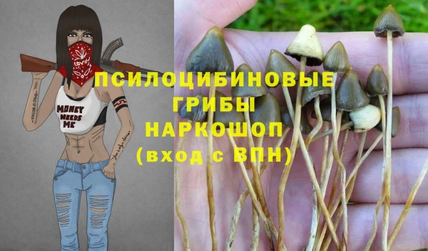 марки nbome Алзамай
