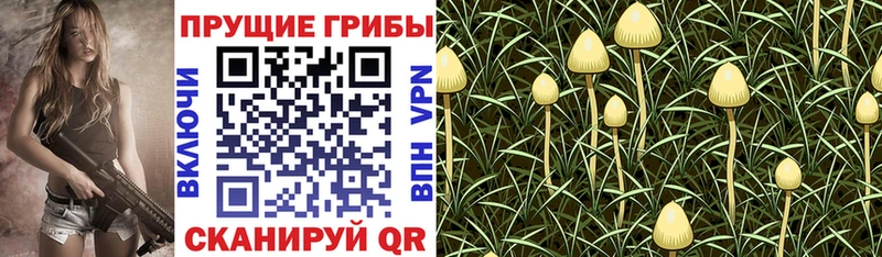 Псилоцибиновые грибы Magic Shrooms  Кемь 